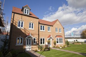 melton view scaffold shadow sm.jpg